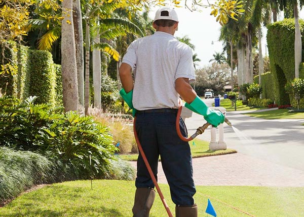 About Crystal Springs FL Pest Control Pros